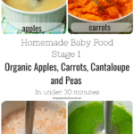 homemade baby food apples, peas, cantaloupe, carrots