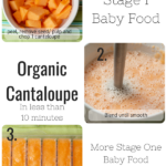 organic cantaloupe baby food recipe