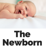 The newborn schedule