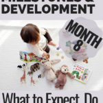 8 Month Baby Milestones and Development