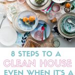 8 Steps to a Clean House